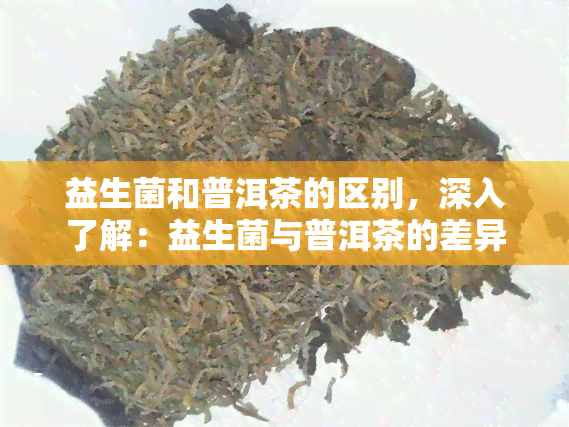 益生菌和普洱茶的区别，深入了解：益生菌与普洱茶的差异