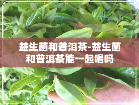 益生菌和普洱茶-益生菌和普洱茶能一起喝吗