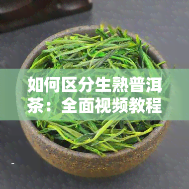 如何区分生熟普洱茶：全面视频教程