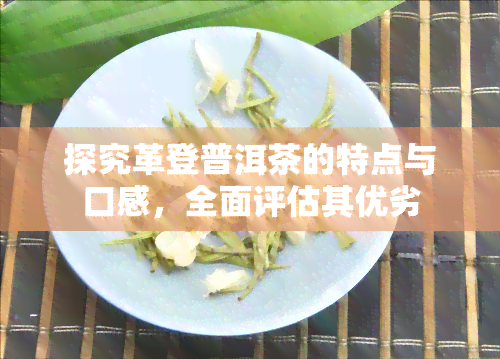 探究革登普洱茶的特点与口感，全面评估其优劣