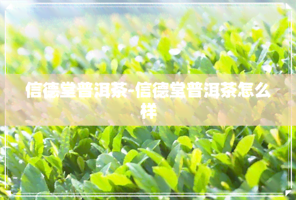 信德堂普洱茶-信德堂普洱茶怎么样