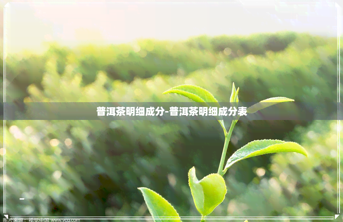 普洱茶明细成分-普洱茶明细成分表