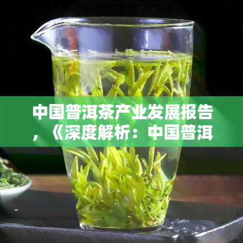 中国普洱茶产业发展报告，《深度解析：中国普洱茶产业的发展现状与未来趋势》