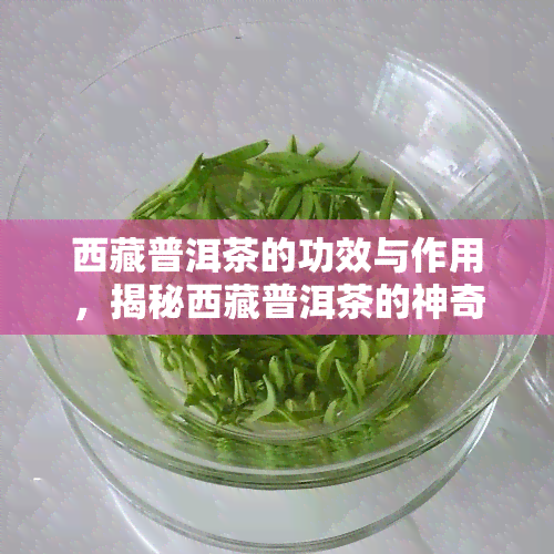  *** 普洱茶的功效与作用，揭秘 *** 普洱茶的神奇功效与作用！