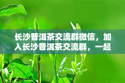 长沙普洱茶交流群微信，加入长沙普洱茶交流群，一起探讨普洱茶的世界