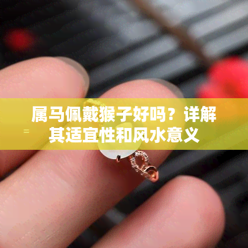 屬馬佩戴猴子好嗎？詳解其適宜性和風(fēng)水意義