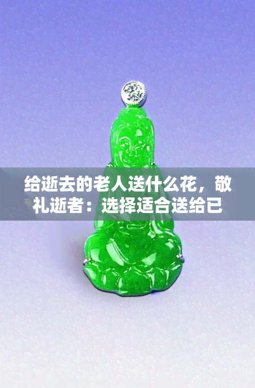 给逝去的老人送什么花，敬礼逝者：选择适合送给已故老人的鲜花