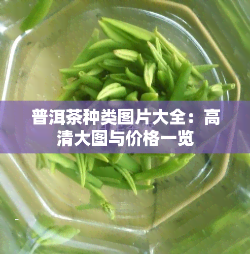 茶葉種類大全及圖片大全中國八大茶葉種類