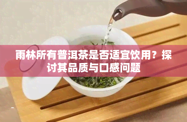 雨林所有普洱茶是否适宜饮用？探讨其品质与口感问题