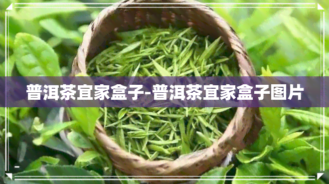 普洱茶宜家盒子-普洱茶宜家盒子图片