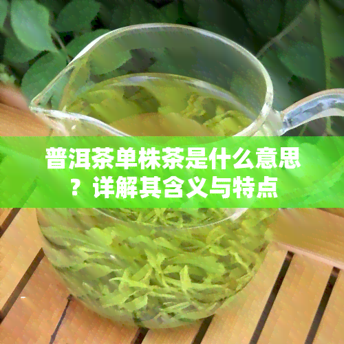 普洱茶单株茶是什么意思？详解其含义与特点