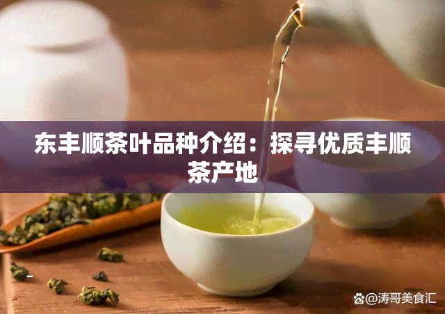 东丰顺茶叶品种介绍：探寻优质丰顺茶产地