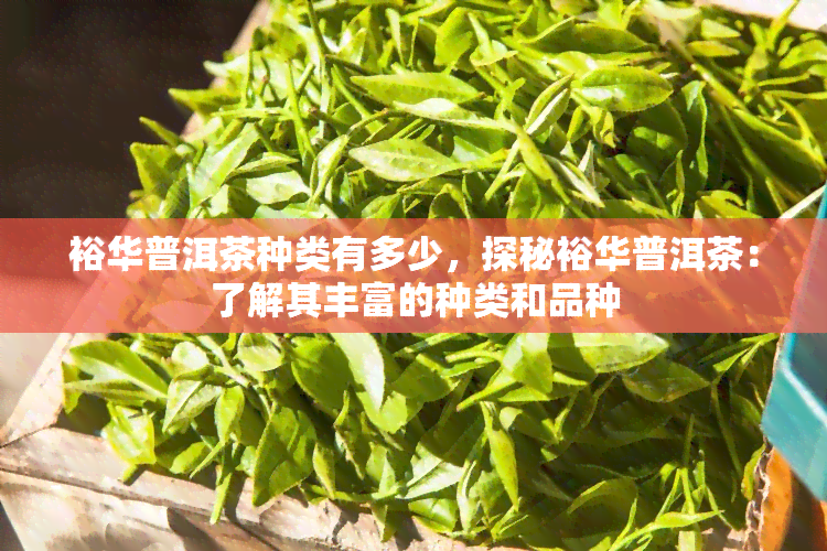 裕华普洱茶种类有多少，探秘裕华普洱茶：了解其丰富的种类和品种