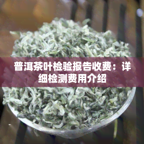 普洱茶叶检验报告收费：详细检测费用介绍