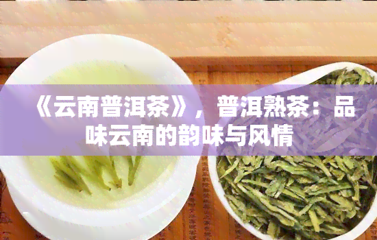 《云南普洱茶》，普洱熟茶：品味云南的韵味与风情