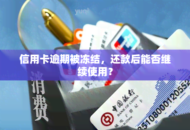 信用卡逾期被冻结，还款后能否继续使用？