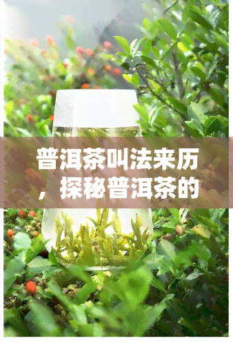 普洱茶叫法来历，探秘普洱茶的叫法来历：一饼茶的历文化故事