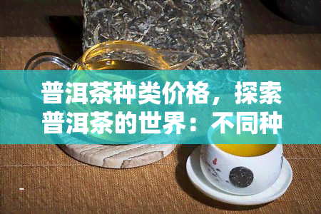 普洱茶种类价格，探索普洱茶的世界：不同种类的价格一览