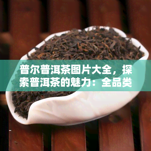 普尔普洱茶图片大全，探索普洱茶的魅力：全品类普尔普洱茶图片大全