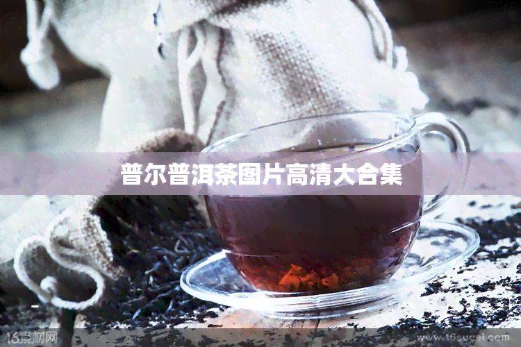 普尔普洱茶图片高清大合集