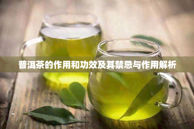 普洱茶的作用和功效及其禁忌与作用解析