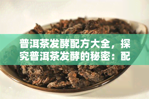 普洱茶发酵配方大全，探究普洱茶发酵的秘密：配方大全全解析