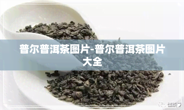 普尔普洱茶图片-普尔普洱茶图片大全