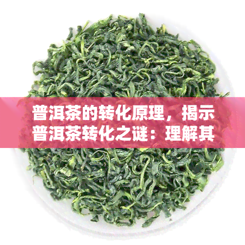 普洱茶的转化原理，揭示普洱茶转化之谜：理解其独特的发酵过程与影响因素