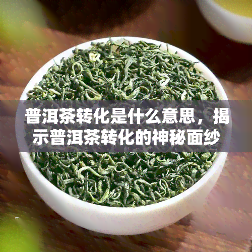 普洱茶转化是什么意思，揭示普洱茶转化的神秘面纱：你所不知道的秘密