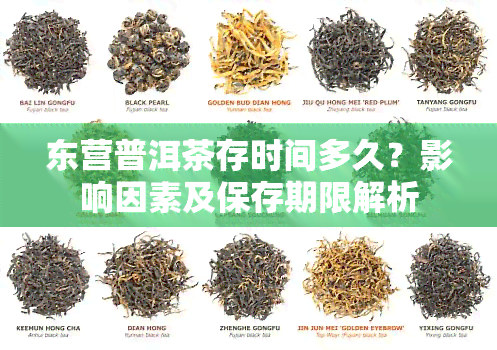 东营普洱茶存时间多久？影响因素及保存期限解析