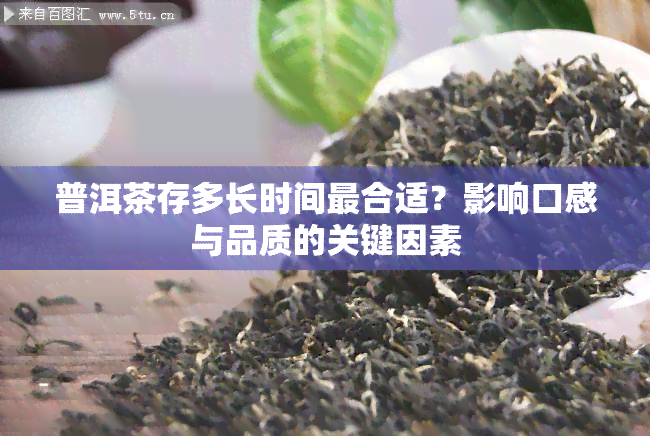 普洱茶存多长时间最合适？影响口感与品质的关键因素