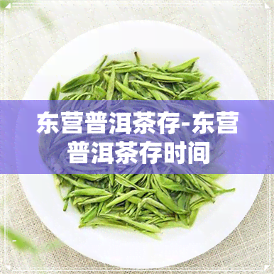 东营普洱茶存-东营普洱茶存时间