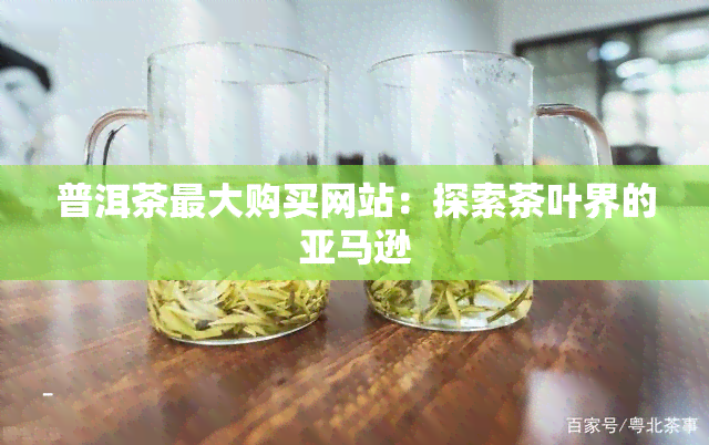 普洱茶更大购买网站：探索茶叶界的亚马逊