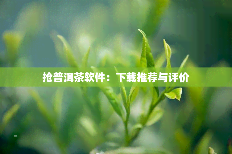 抢普洱茶软件：下载推荐与评价