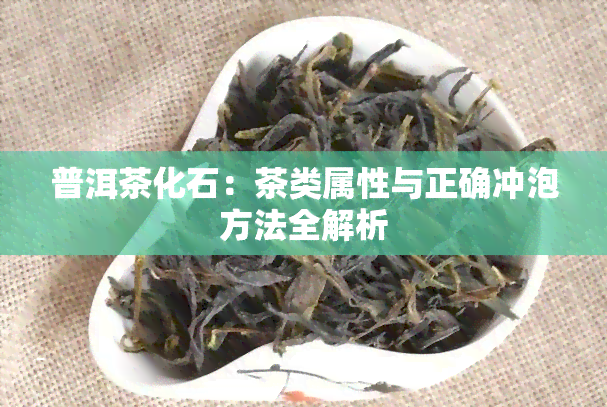 普洱茶化石：茶类属性与正确冲泡方法全解析