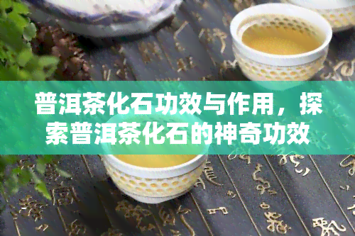 普洱茶化石功效与作用，探索普洱茶化石的神奇功效与作用