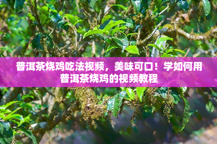 普洱茶烧鸡吃法视频，美味可口！学如何用普洱茶烧鸡的视频教程