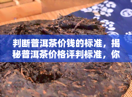 判断普洱茶价钱的标准，揭秘普洱茶价格评判标准，你买对了吗？