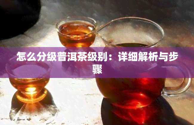 怎么分级普洱茶级别：详细解析与步骤