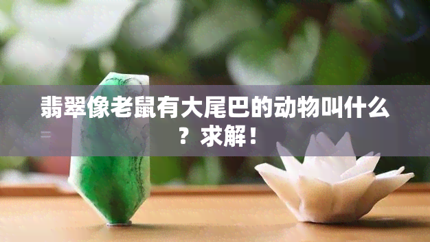 翡翠像老鼠有大尾巴的动物叫什么？求解！