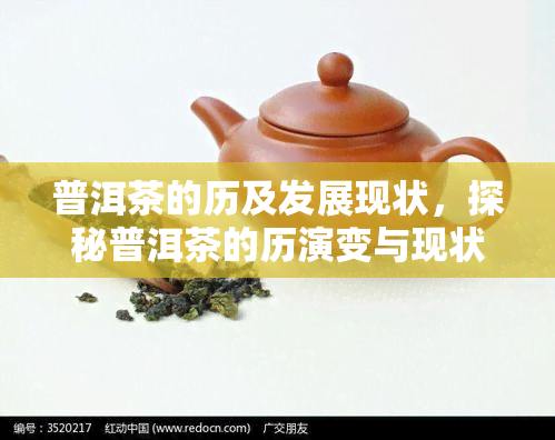 普洱茶的历及发展现状，探秘普洱茶的历演变与现状