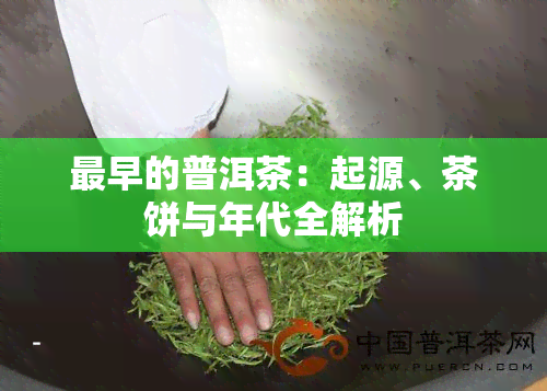 最早的普洱茶：起源、茶饼与年代全解析