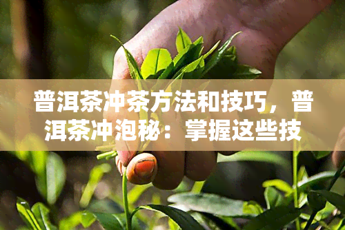 普洱茶冲茶方法和技巧，普洱茶冲泡秘：掌握这些技巧，让你的普洱茶更加美味！