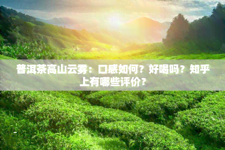 普洱茶高山云雾：口感如何？好喝吗？知乎上有哪些评价？