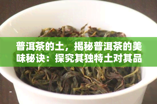 普洱茶的土，揭秘普洱茶的美味秘诀：探究其独特土对其品质的影响