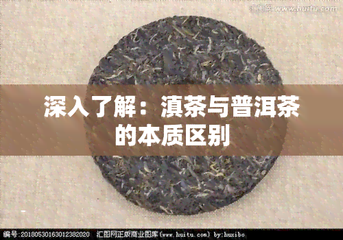 深入了解：滇茶与普洱茶的本质区别