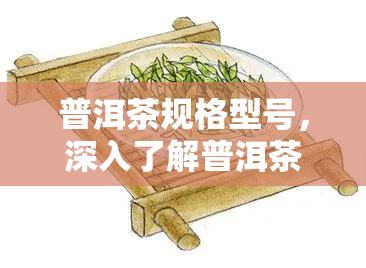 普洱茶规格型号，深入了解普洱茶：规格型号的重要性与分类