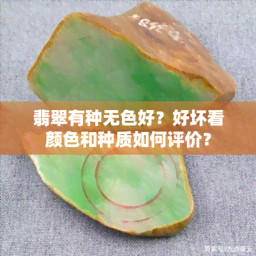 翡翠有种无色好？好坏看颜色和种质如何评价？