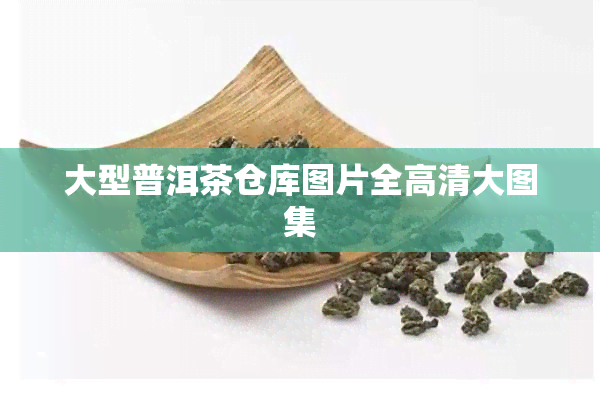 大型普洱茶仓库图片全高清大图集