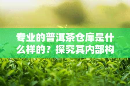 专业的普洱茶仓库是什么样的？探究其内部构造与管理方式的图片展示